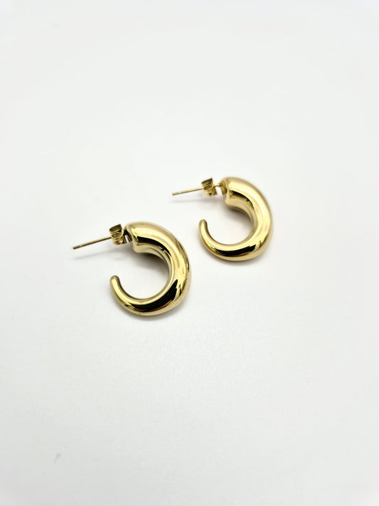 Orecchini  small circus